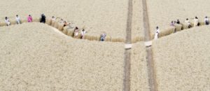 Jacquemus creates another viral catwalk moment, this time in a wheat field